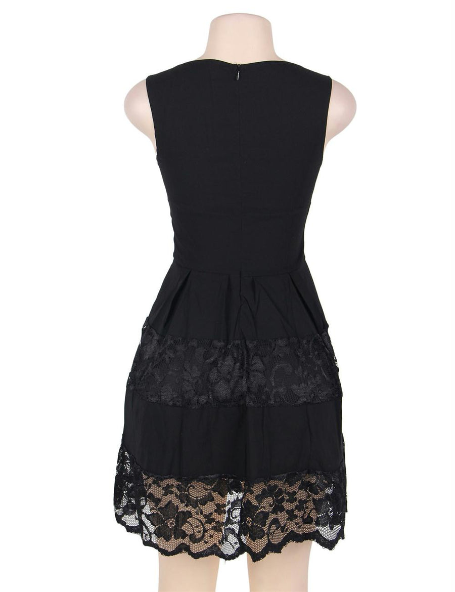 Lace Mesh Sleeveless Pleated Black Skater Dress