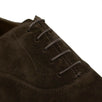 Chelsea Suede Oxford Dress Shoes - Brown
